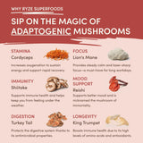 Mushroom Chai Signature M179